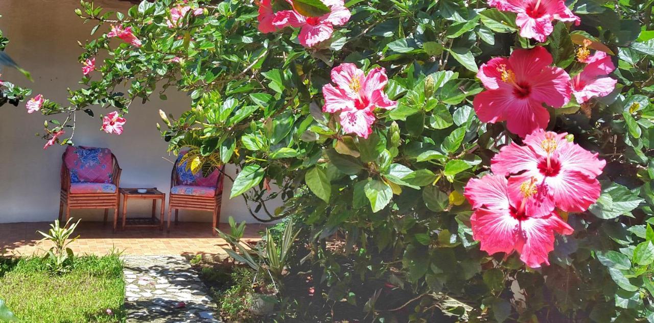 阿拉胡埃拉Vida Tropical住宿加早餐旅馆 外观 照片